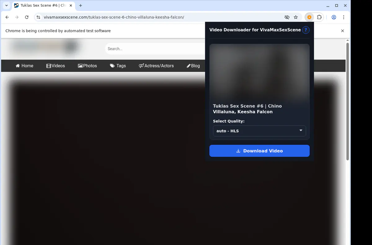 Vivamaxsexscene Video Downloader browser extension screenshot 4